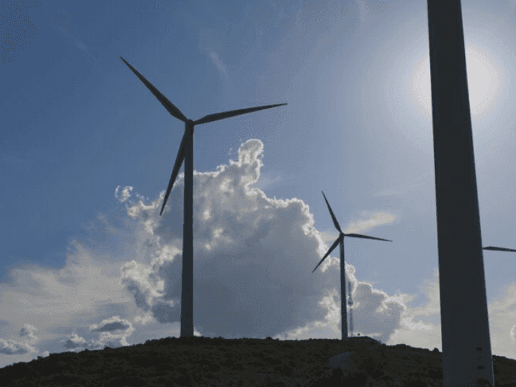 Peritajes en plantas de energía eólica y solar: un servicio clave para la industria energética