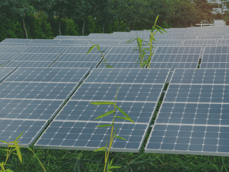 Capacidades Dictuc en sustentabilidad: ingeniería al servicio de un desarrollo más responsable