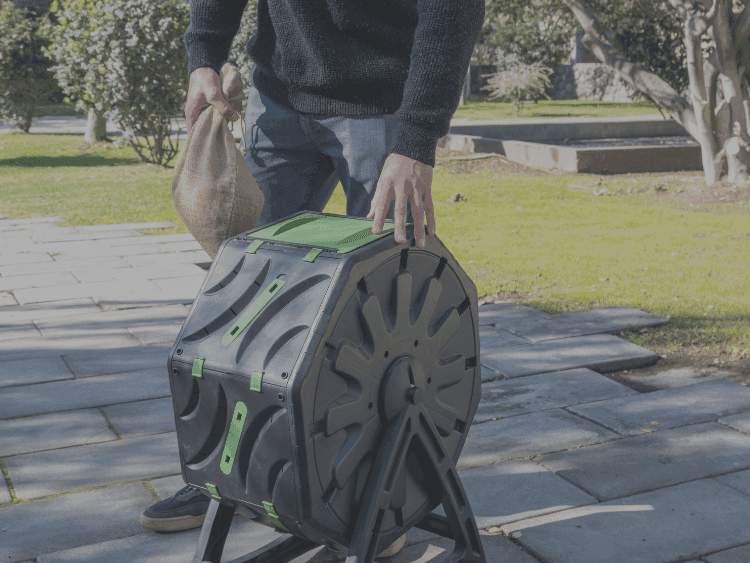 Emprendimientos sostenibles: actores cruciales en el futuro del planeta