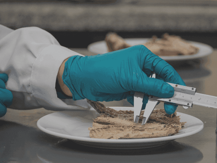 Estudio comparativo de jureles