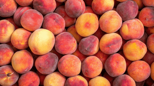 Dictuc y Red de Alimentos: una alianza que visibiliza el impacto ambiental del rescate de alimentos