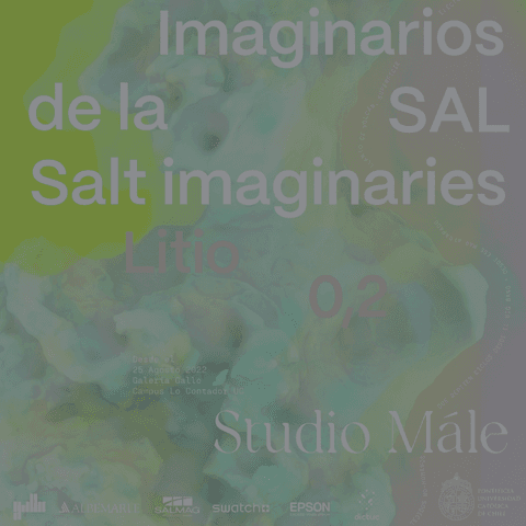 Inauguración Imaginarios de la Sal en Galería Gallo