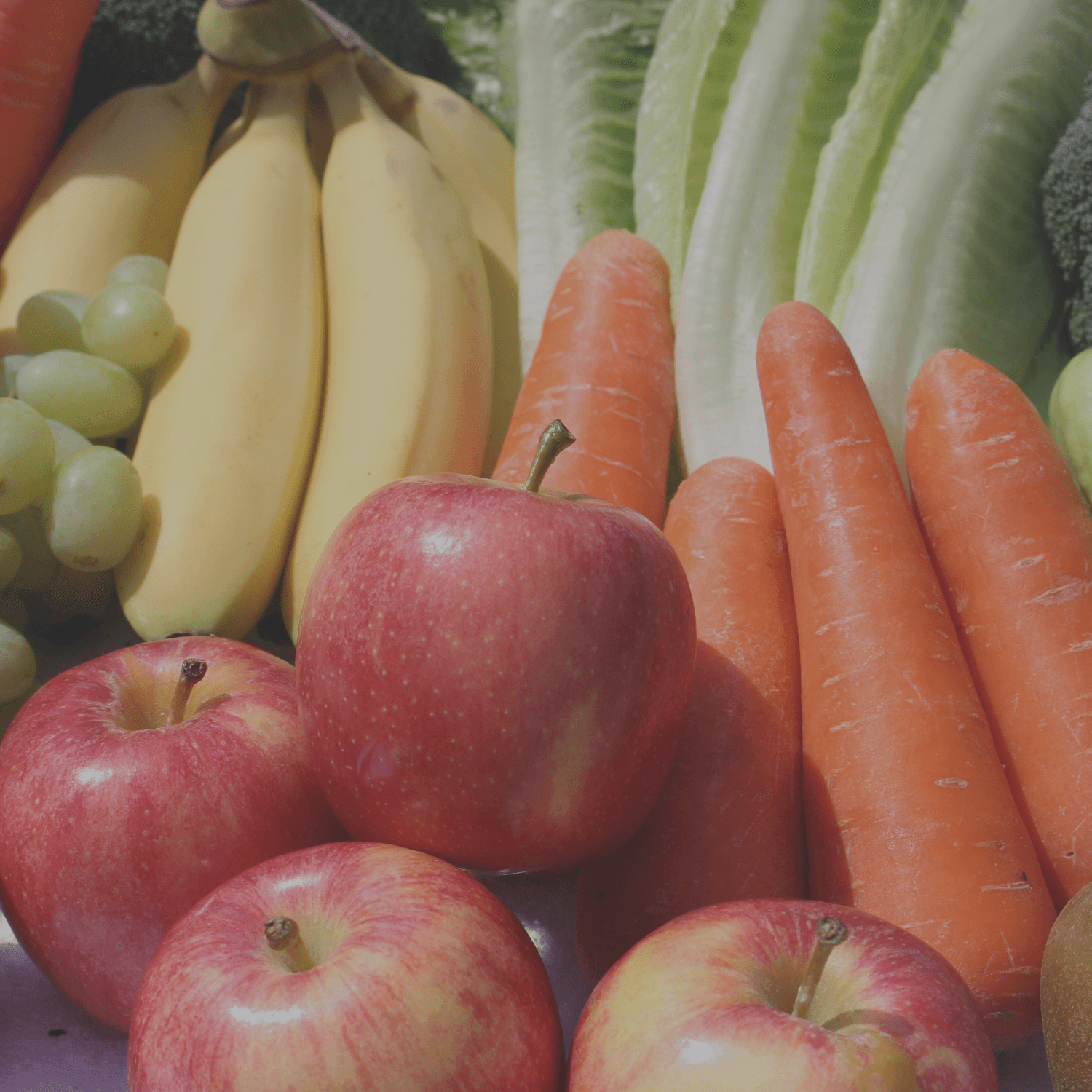 Dictuc en la prensa: GreenLab y Red de Alimentos visibilizan el daño evitado por no desperdiciar alimentos