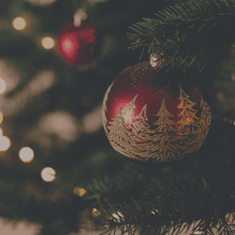 ¡Feliz navidad!