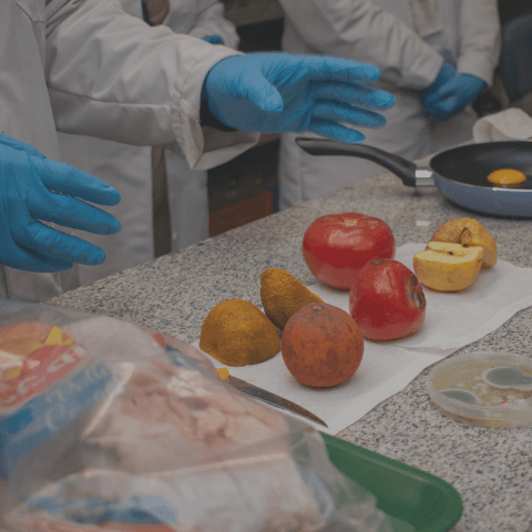 Soluciones innovadoras para la industria de alimentos