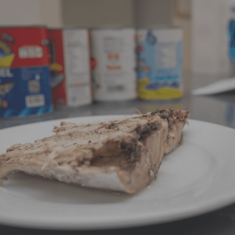 Día Mundial del Termómetro: La importancia de la calibración para decisiones confiables